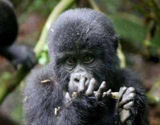 Remarkable Rwanda