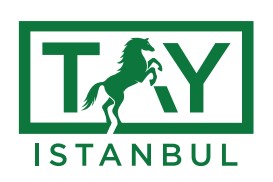Tay Istanbul DMC Turkey Logo